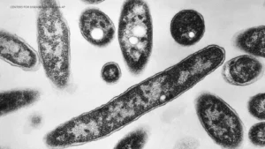 Bronx Legionnaires’ Disease Cluster Under Investigation After One Death, Five Cases, in Melrose and Morrisania, New York City Health Officials Say
