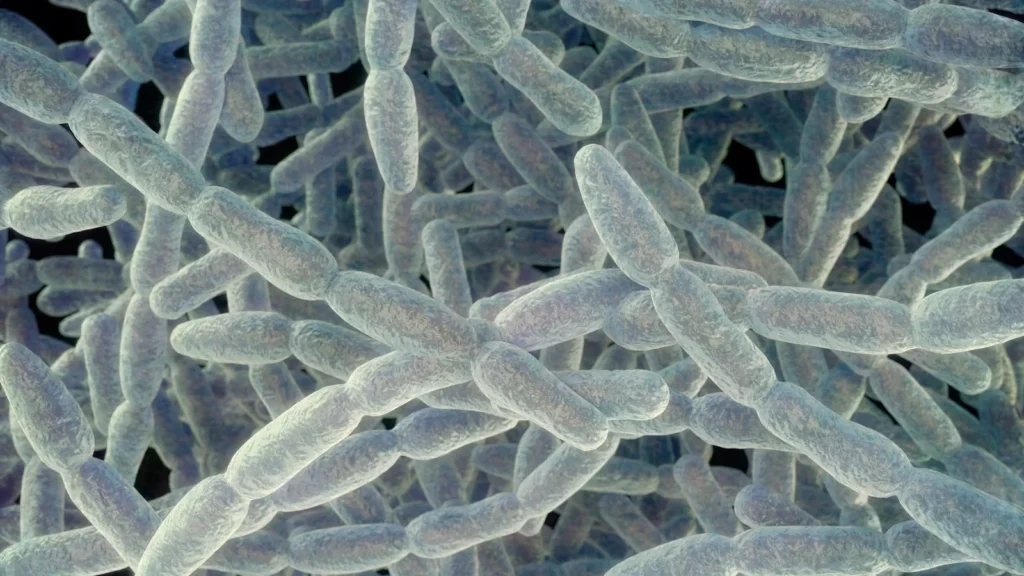 New York City Health Officials Investigate South Bronx Legionnaires’ Cluster After One Death and Five Confirmed Cases in Melrose and Morrisania