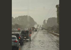 Microburst Wind Damage Downs Four Power Poles and Trees Near Elgin Alabama as Storm Moves East Toward Courtland and Coxey on Highway 72