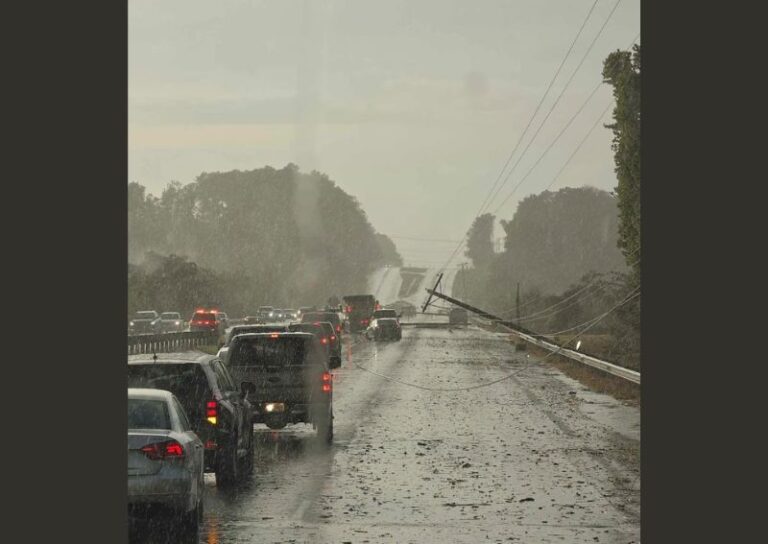Microburst Wind Damage Downs Four Power Poles and Trees Near Elgin Alabama as Storm Moves East Toward Courtland and Coxey on Highway 72