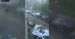 Milford, Michigan Farmers Market Vendors Hit by Storm Damage Get Community Support After Viral Video Draws Donations for Lost Inventory