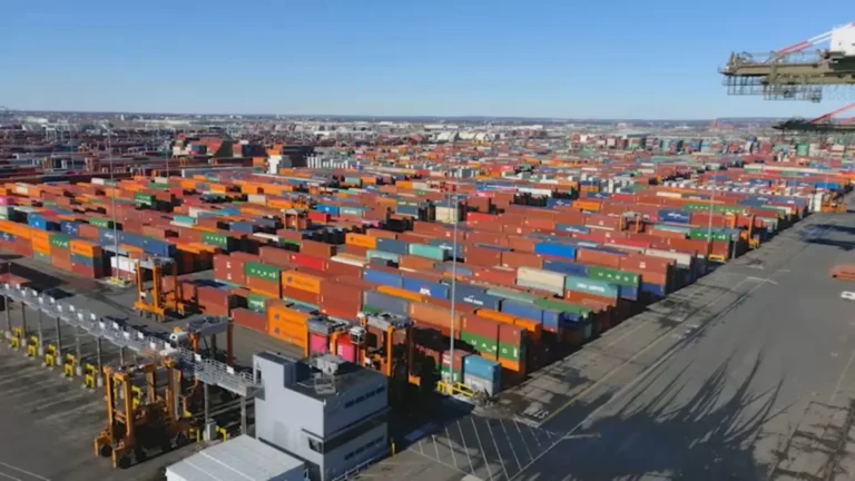 At Port of Newark in Newark, New Jersey, Customs Officials Stop More Than 600 Stolen Vehicles From Being Shipped Overseas This Year