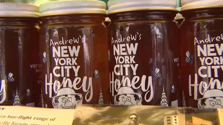 New York City Beekeeper Andrew Cote Turns Rooftop Hives and Family Tradition Into a Thriving Honey Business Across All Five Boroughs