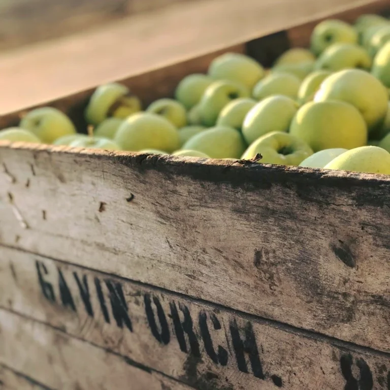 Zeeland and Coopersville Food Businesses Win Michigan Agriculture Grants to Expand Equipment, Add Jobs in Ottawa County