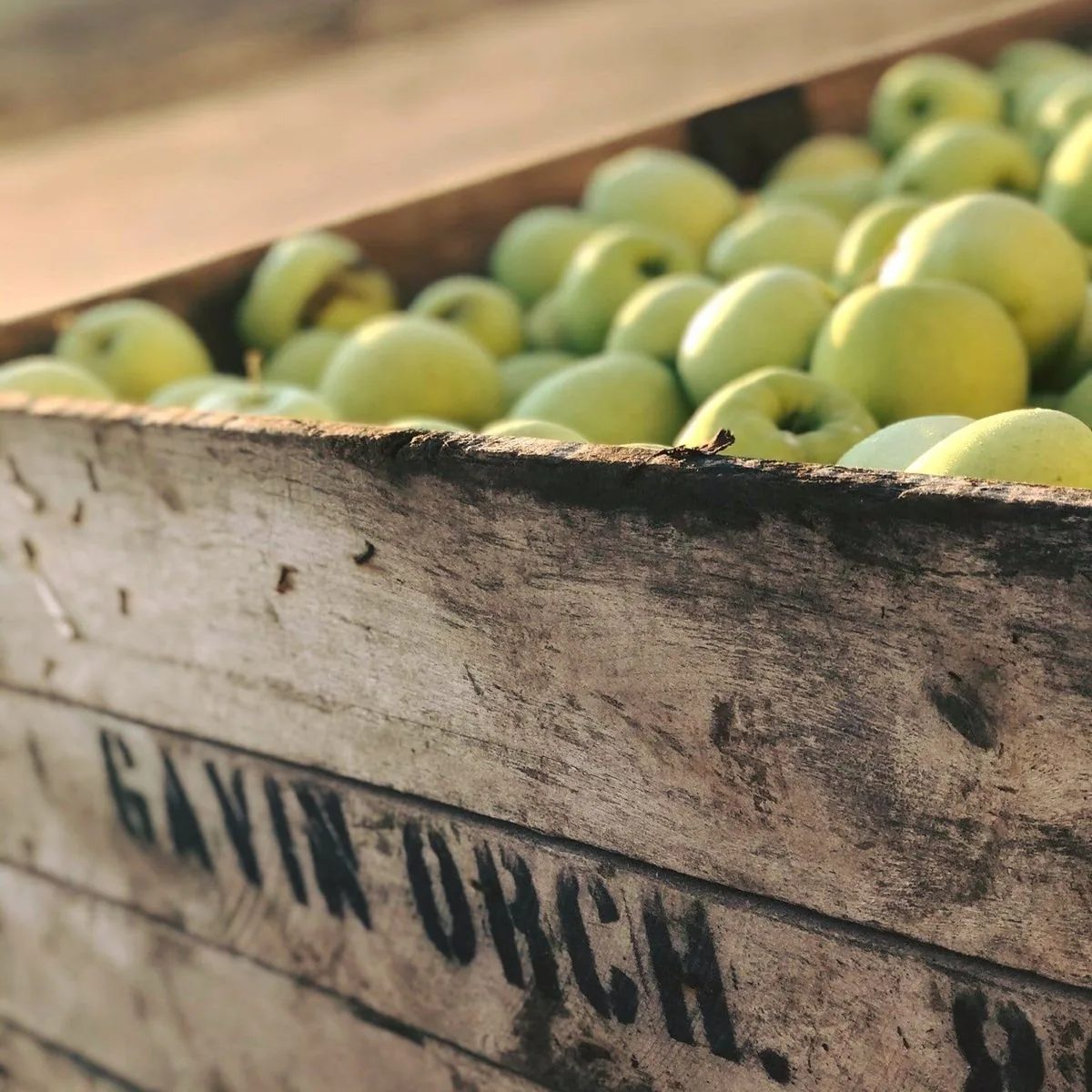 Big Bear Honey and Gavin Orchards are receiving Michigan grants to buy new processing equipment