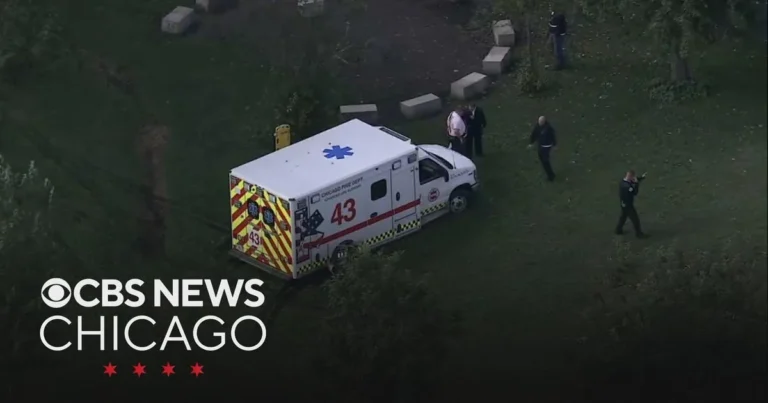 Woman Dies After Being Pulled From Lake Michigan at Chicago’s Hollywood Beach, Authorities Say, After Emergency Crews Responded to Swimmers in Distress
