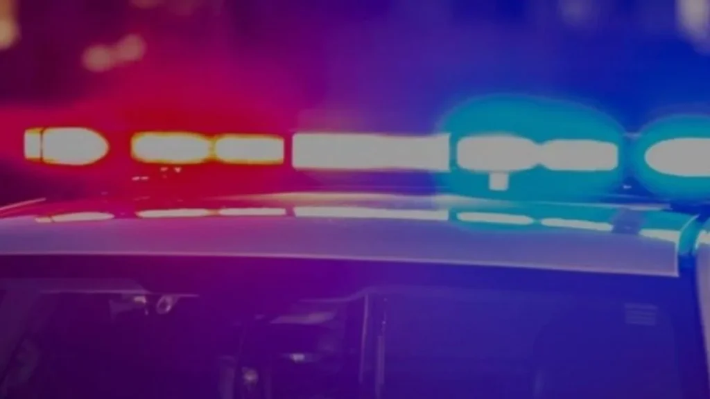 Flint Police Ask for Tips After Deadly Hit-And-Run on North Dort Highway Leaves a Woman Dead