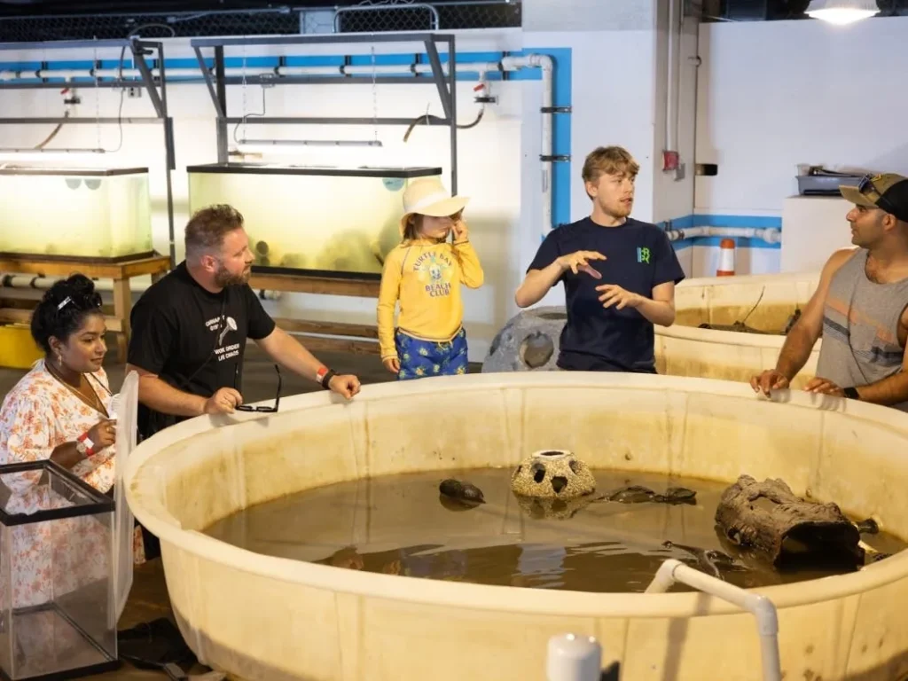 Hudson River Park in New York City Rolls Out Fall Events With Oyster Labs, Volunteer Days, Pumpkin Composting and Science Programs