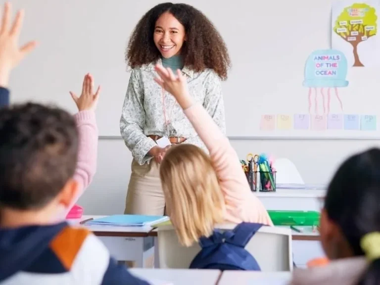 New York City School District 13 Tops Niche’s 2027 Ranking as Ten City Districts Earn A- or Better Across the Five Boroughs